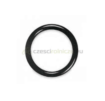 ORING NEW HOLLAND CASE 86598102