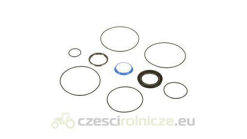 USZCZELKA NEW HOLLAND CASE 84135244