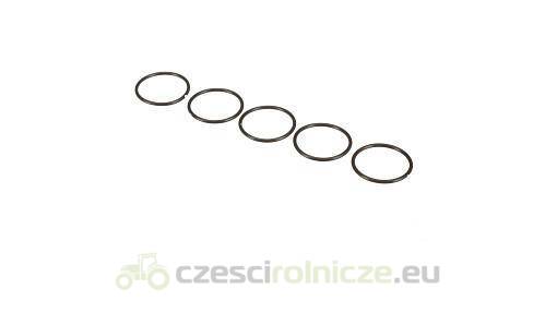 USZCZELKA NEW HOLLAND CASE 14458480