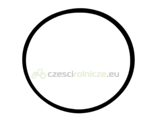 O-RING NEW HOLLAND CASE 279167