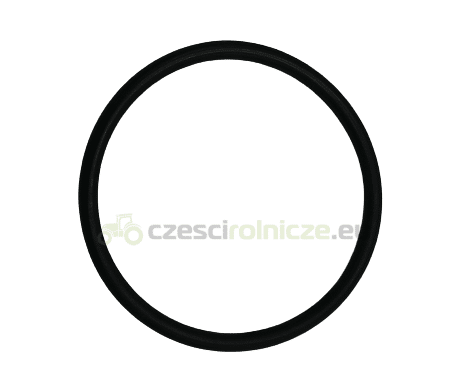 USZCZELKA NEW HOLLAND CASE 190003121036