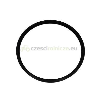 USZCZELKA NEW HOLLAND CASE 6089403