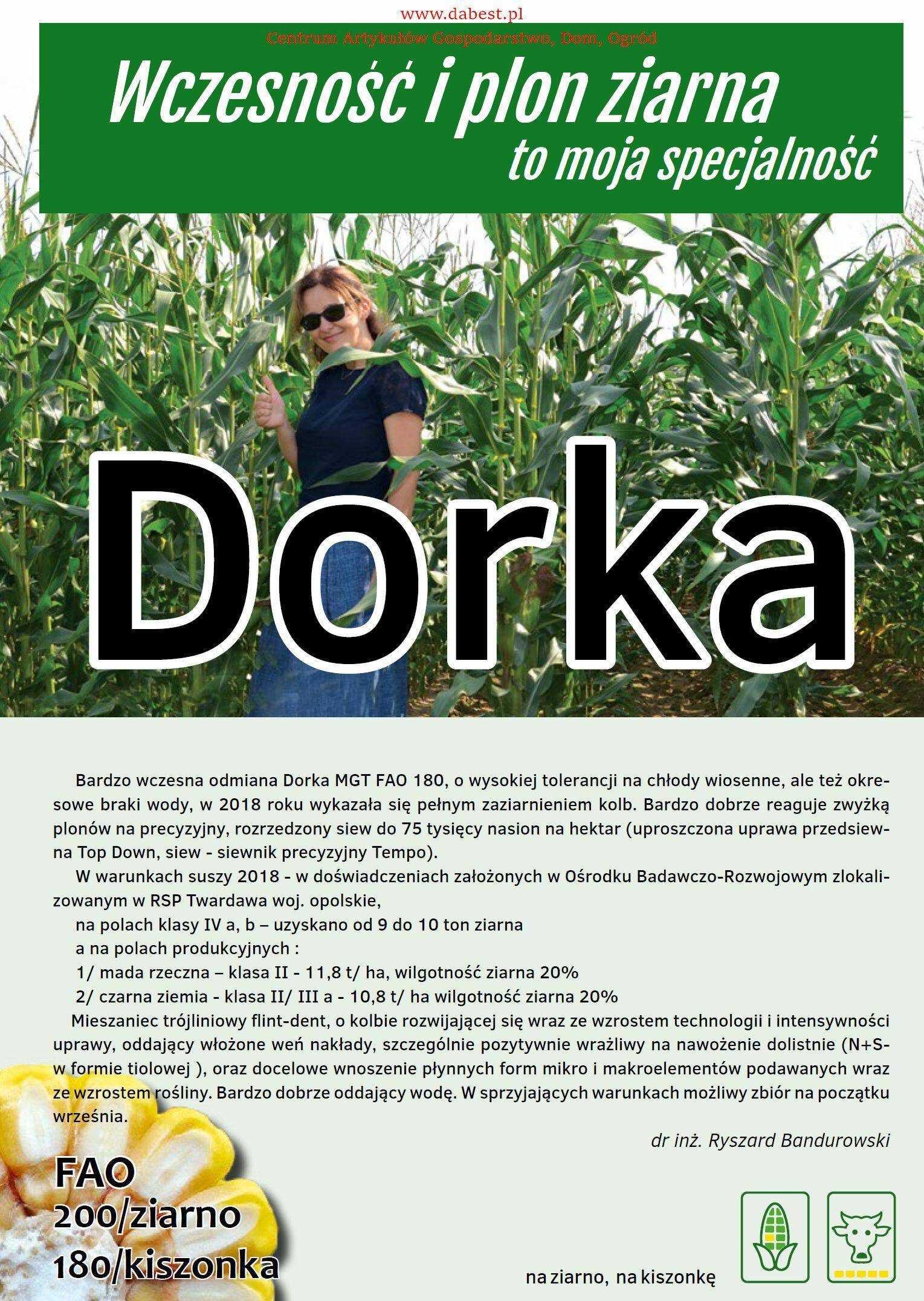Kukurydza DORKA C1/F1 80tys ś.1039532568 (Zdjęcie 1)