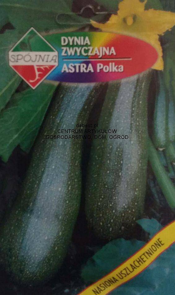 Dynia zwyczajna Astra Polka 5g (Zdjęcie 1)