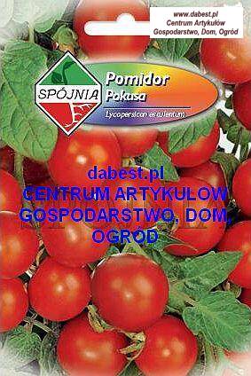 Pomidor Pokusa  0,5g
