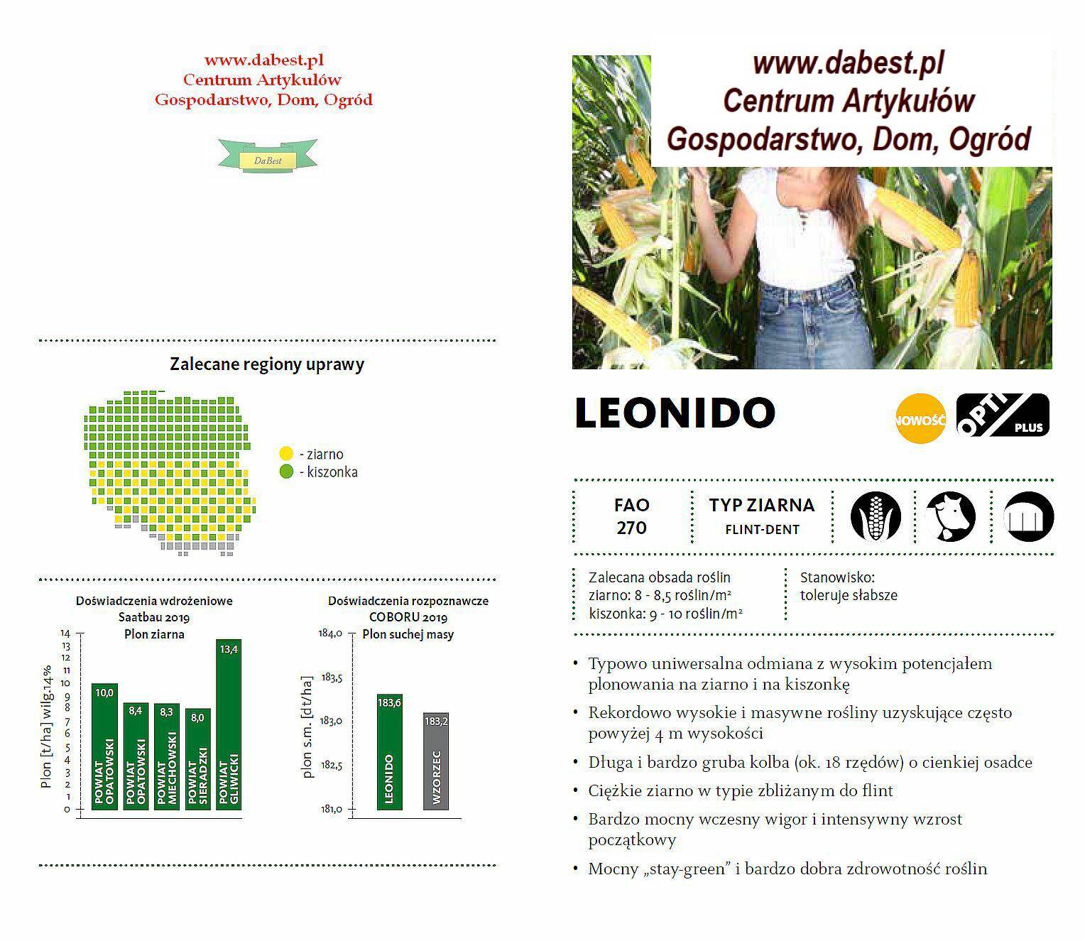 Kukurydza LEONIDO C1-50tys. WYPRZEDAŻ