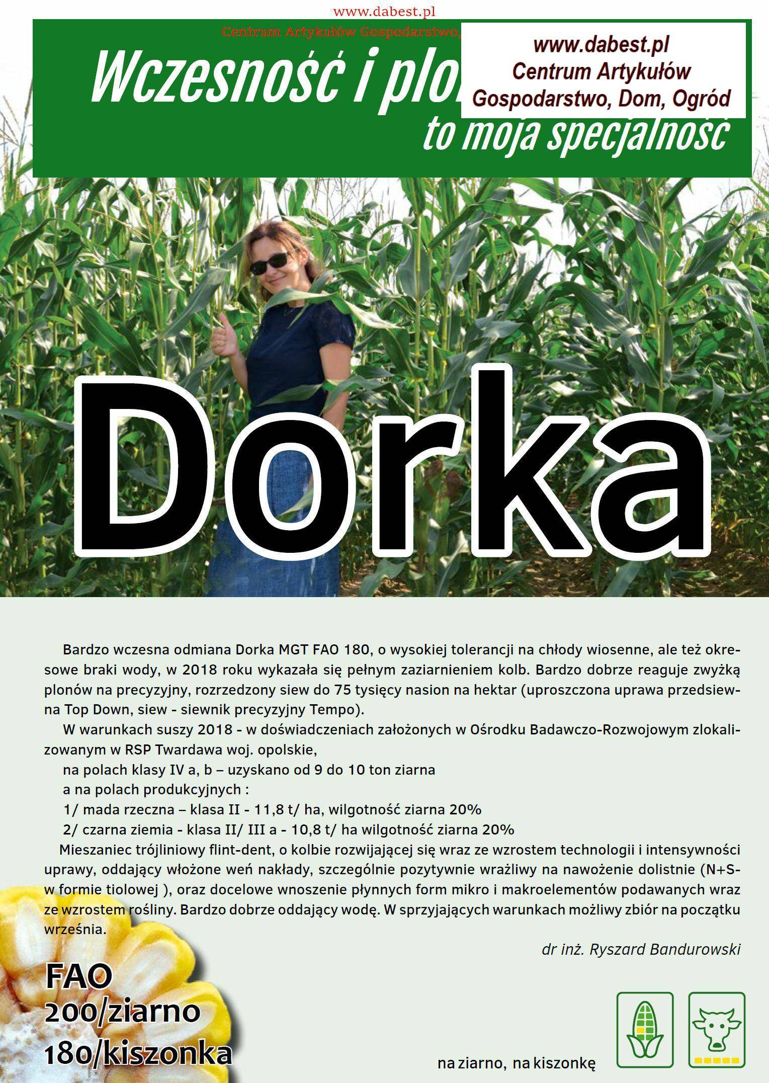 Kukurydza DORKA C1/F1 80tys Św. (Zdjęcie 1)