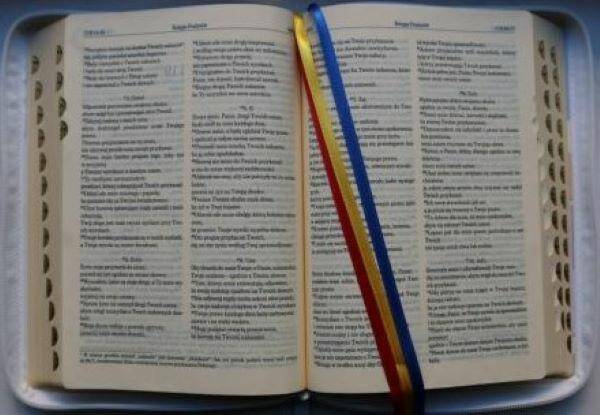 BIBLIA PIERWSZEGO KOŚCIOŁA BIAŁA (Zdjęcie 1)