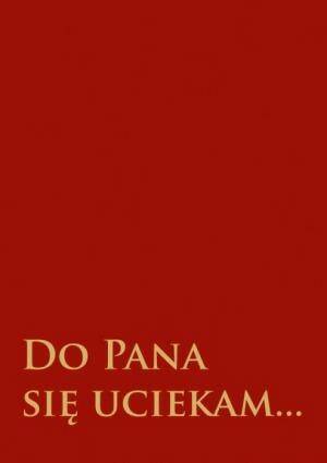 DO PANA SIĘ UCIEKAM BORDO (Zdjęcie 1)