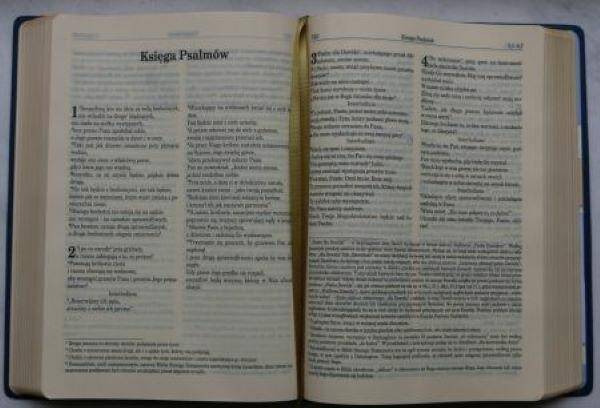 BIBLIA PIERWSZEGO KOŚCIOŁA GRANATOWA (Zdjęcie 2)