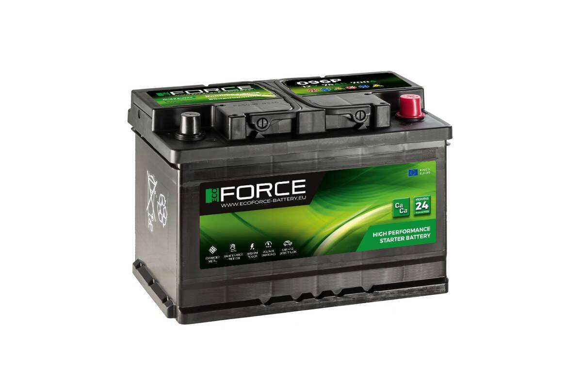 Akumulator  55AH/450A P+ EcoForce