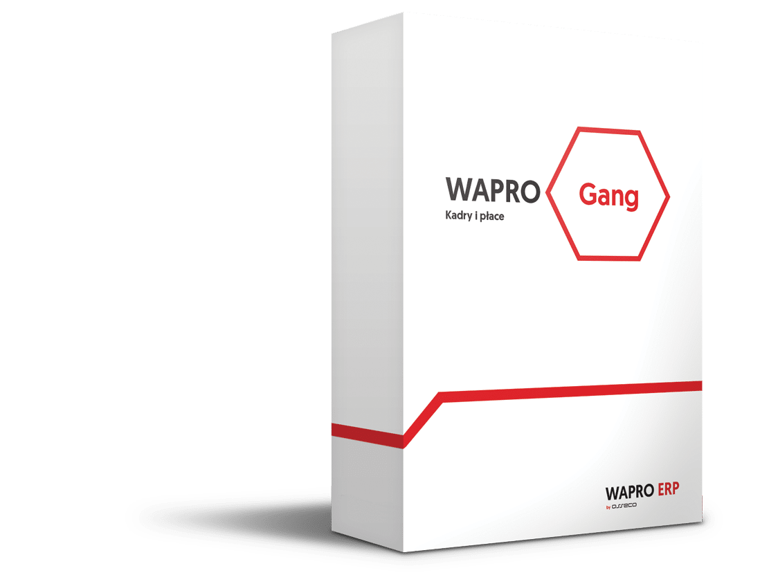 wapro gang 365 biuro plus 1000