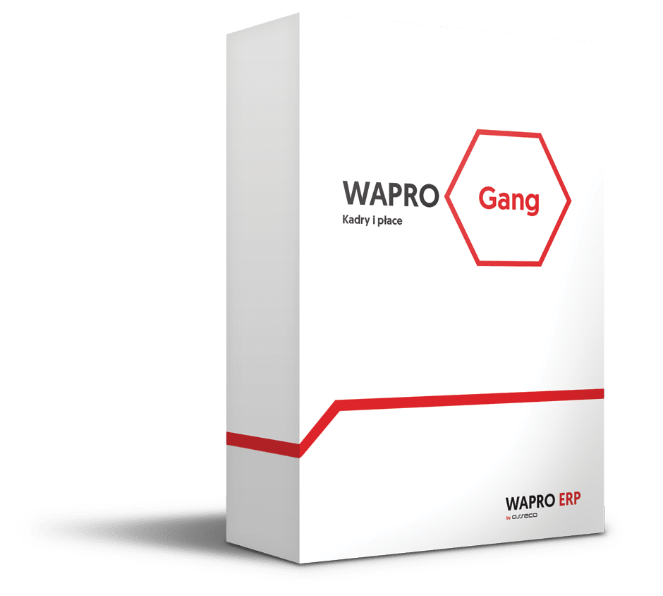 wapro gang 365 biuro plus 300