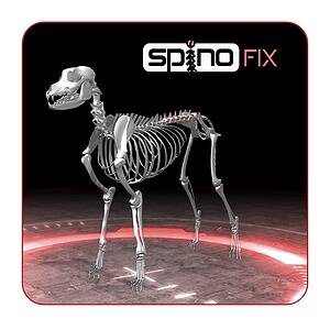 Mini-technika SpinoFIX